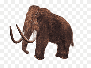 lanudo mamut de-extinción lyuba colmillo mamut estepa, uso para fondo de tierra, mamífero, animales, fauna silvestre png thumbnail