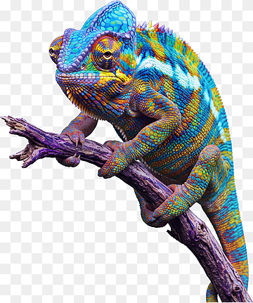 fotorrealista de un colorido camaleón cambiando de color en una rama, png thumbnail