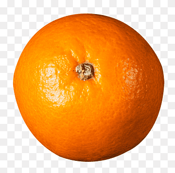 orange fruit, Juice Blood orange Tangerine Clementine, Orange Top View, food, orange, citrus png thumbnail