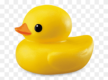 Rubber duck Amazon.com Hot tub Bathtub, duck, child, animals, bathroom png thumbnail