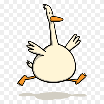 Angsa Angsa Abu-abu Angsa Cygnini Burung air, angsa, makanan, hewan, tangan png thumbnail