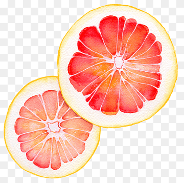 Grapefruit juice Vegetarian cuisine Pomelo Blood orange, grapefruit, watercolor Painting, food, orange png thumbnail