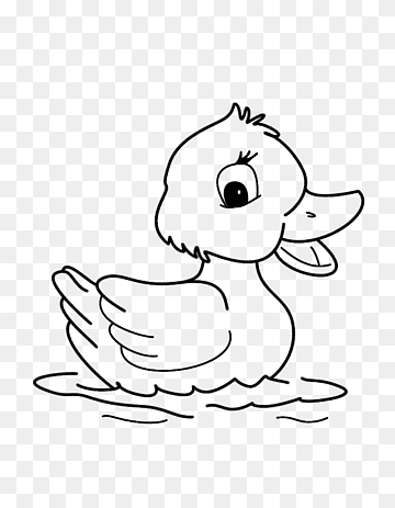 Duck Water bird Goose Cygnini, duck, white, mammal, animals png thumbnail