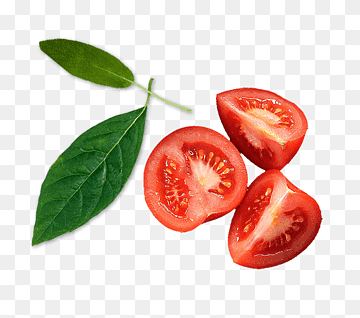Coffee Enchilada Tomato Ingredient Cooking, Red tomatoes, natural Foods, food, leaf png thumbnail