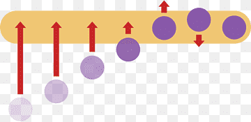 Implementation, hoa van, text, rectangle, engineer png thumbnail