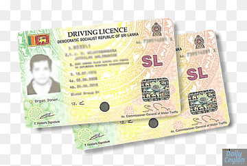 Driver's license Driving licence in Sri Lanka Driving test Car, driving license,  png thumbnail