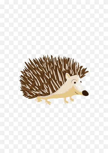 Ilustración de erizo marrón, domesticación de erizo de equidna de erizo domesticado, erizo de dibujos animados, personaje animado, mamífero, animales png thumbnail