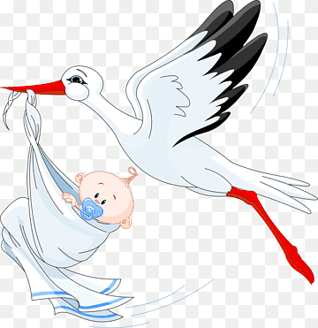 Infant Stork, stork, white, child, animals png thumbnail