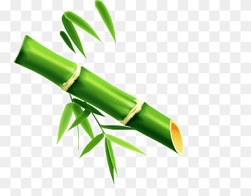 Lucky bamboo, bamboo, leaf, bamboo Leaves, drop png thumbnail