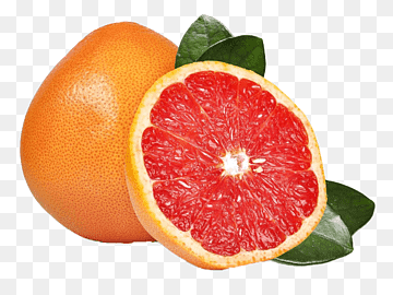 Grapefruit juice Organic food Grapefruit diet, grapefruit, natural Foods, food, citrus png thumbnail