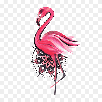 Mandala Water bird Greater flamingo Symbol, Bird, animals, vertebrate, etsy png thumbnail