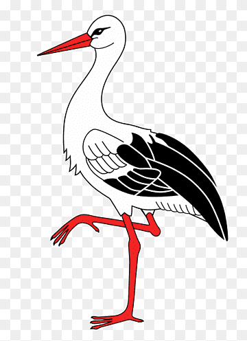 Stork, stork, animals, computer, vertebrate png thumbnail