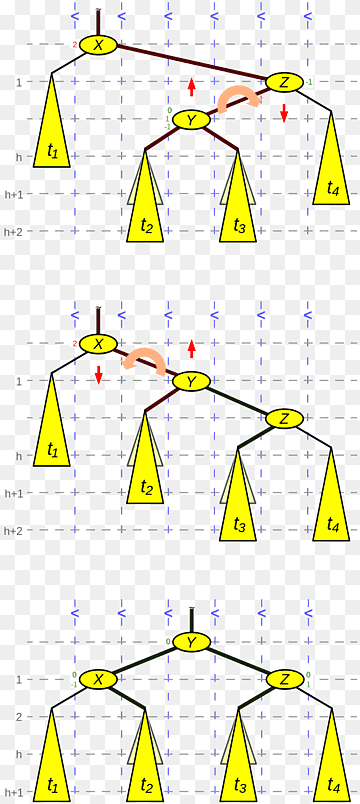 AVL tree Computer Science Binary search tree Binary search algorithm, tree, angle, text, triangle png thumbnail