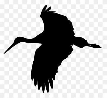 White stork Bird, stork, animals, fauna, wildlife png thumbnail
