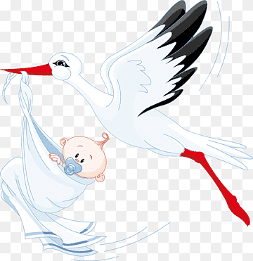 Stork, pelican, animals, vertebrate, infant png thumbnail