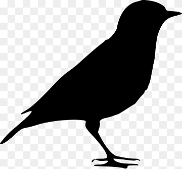 Silhouette, Bird, Nature, From The Side, Sitting, Beautiful, Plumage, Feather, Elegant, Water Bird, png thumbnail