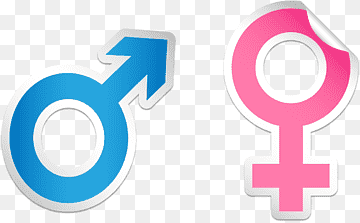 Símbolo euclidiano feminino, símbolo masculino e feminino pintado, pintura em aquarela, diversos, texto png thumbnail