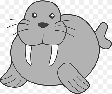 morsa dibujo colmillo, morsa s, blanco, mamífero marino, mamífero png thumbnail
