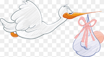 white stork illustration, White stork Infant, White Swan, white, animals, hand png thumbnail