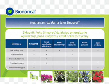 Programa de computador Página Web do material, andrographis paniculata, texto, computador, programa de computador png thumbnail