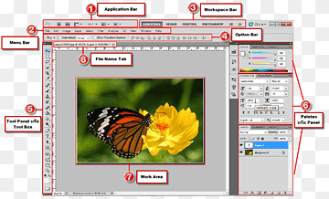 Screenshot Adobe-Systeme Computerprogramm, Computer, Adobe-Systeme, Schmetterling, Befehl png thumbnail