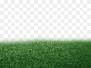 pasto césped prado pastos praderas, brasil, diverso, atmósfera, paisaje png thumbnail