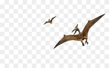 two dinosaurs, Origin of birds Dinosaur Water bird Beak, dino, game, animals, video Game png thumbnail