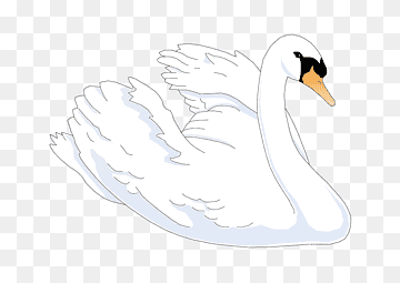 Duck Cygnini Cartoon Feather Illustration, Swan, white, animals, text png thumbnail