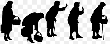 siluetas de mujeres mayores, silueta de mujer, las personas de edad, mujer png thumbnail